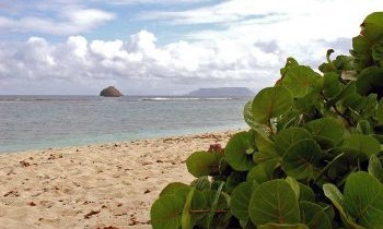 5 merveilles naturelles en Guadeloupe