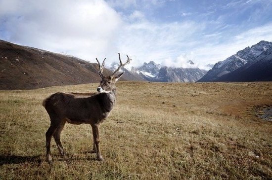 Alaska, la frontière du nord